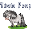 Team Pony