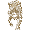 Leopard, Indian Leopard, Persian Leopard