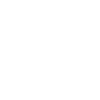 Chat Katze