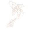 Koi Illustration