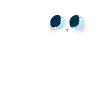 white cat