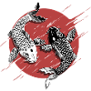 yin and yang koi