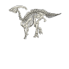 dinosaur parasaurolophus fossil skeleton