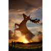 Poster | Fantasy Landscape | Deer