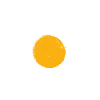 Daisy - Flower