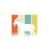 Goat