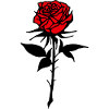 Red Rose
