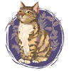 Leafpool Leaf Lake Tiger Cat Warriors Katte søde
