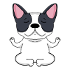 Yoga Dog French Bulldog