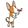 Podenco Ibicenco Dog