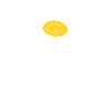 Daisies - Wild herbs - Nature - Sustainable