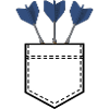 Shirt Bag Darts