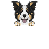 Border Collie souriant