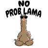 No Problama