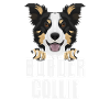 Border Collie souriant