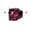 LKW Fahrerin