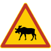 Moose traffic sign Sweden holiday Scandinavia