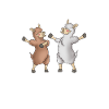 alpaca