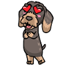 Rough-haired Dachshund Dog In Love
