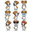Kromfohrländer Dog Emotions