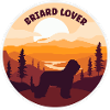 Briard Lover at sunset