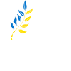 Ukraine Peace