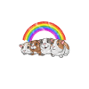 Guinea pig