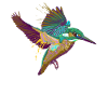 Splash Eisvogel