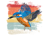 Retro Kingfisher Bird