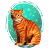 Red Cat Sparkpelt Firestar Spark Fur Fire Star
