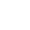 Dromedary Camel Heartbeat