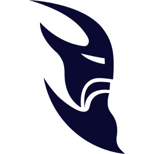 Marineblaues Spiegellogo