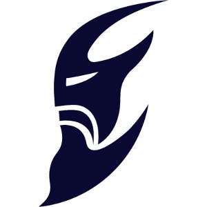 Marineblaues Logo