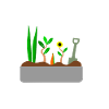 ALLOTMENT GARDENER