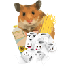 Hamster Menno "hamstern"