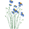 Prairie de fleurs sauvages dans le style de l’aquarelle