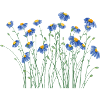 Blue Wildflower Bundle