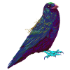 Splash Crow Bird Raven