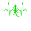 Lizard Heartbeat