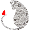 cat with butterfly white pointed