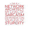 "Network Architect Sarcasm | Netzwerk"