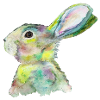 Hare