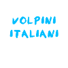 Volpino Italiano
