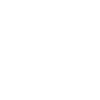 Brain