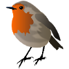 robin