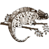Caméléon