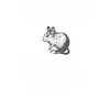 Deguhalter Degu