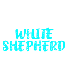 White Shepherd