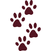 Paws