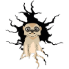 Crack hole meerkat